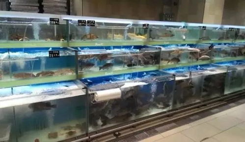 春季生鲜类商品保鲜实战指导 水产品篇