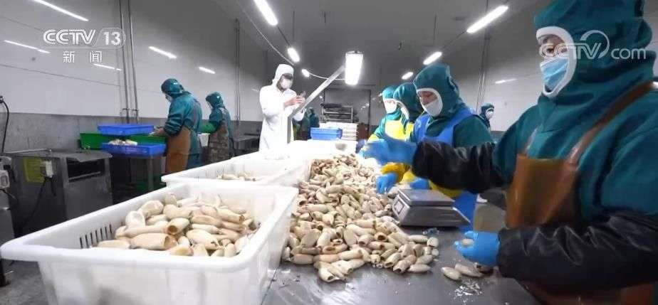 “大食物观”里的产业升级 水产预制菜延长水产养殖产业链